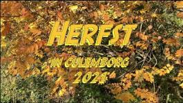 Embedded thumbnail for Herfst in Culemborg