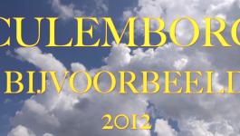 Embedded thumbnail for Culemborg bijvoorbeeld 2012 VIDEO