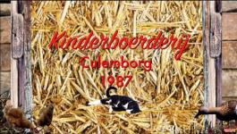 Embedded thumbnail for Kinderboerderij de heuvel Culemborg 1987.