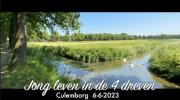 Embedded thumbnail for Jong leven in de 4 dreven.