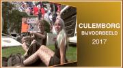 Embedded thumbnail for CULEMBORG BIJVOORBEELD 2017 ( rocco vl )